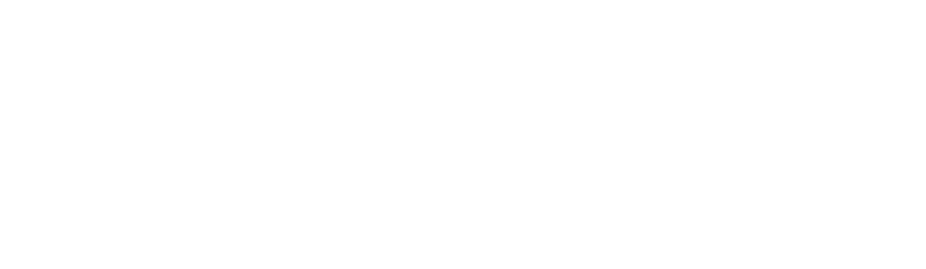 Premier Pulse Logistics